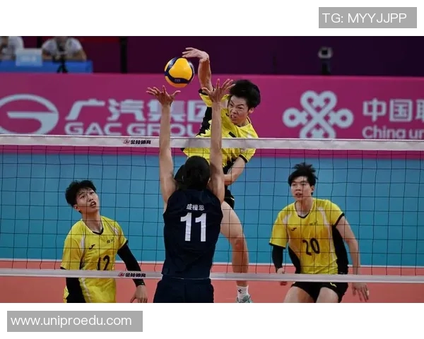 杭州排球队灵活性创新高引发全国关注排球竞技新风潮