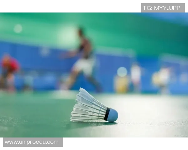 杭州羽毛球队的奋斗历程与杯赛荣耀背后的成长故事 杭州羽毛球队的奋斗历程与杯赛荣耀背后的成长故事