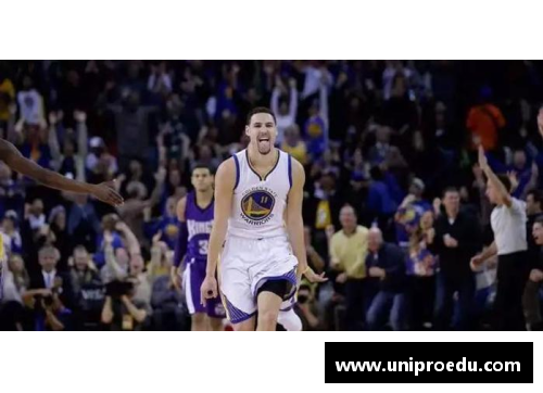 NBA传奇：追忆麦克海尔的辉煌岁月