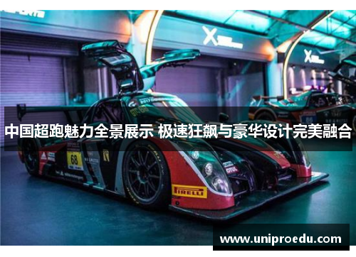 中国超跑魅力全景展示 极速狂飙与豪华设计完美融合