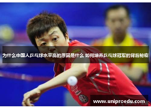 为什么中国人乒乓球水平高的原因是什么 如何培养乒乓球冠军的背后秘密